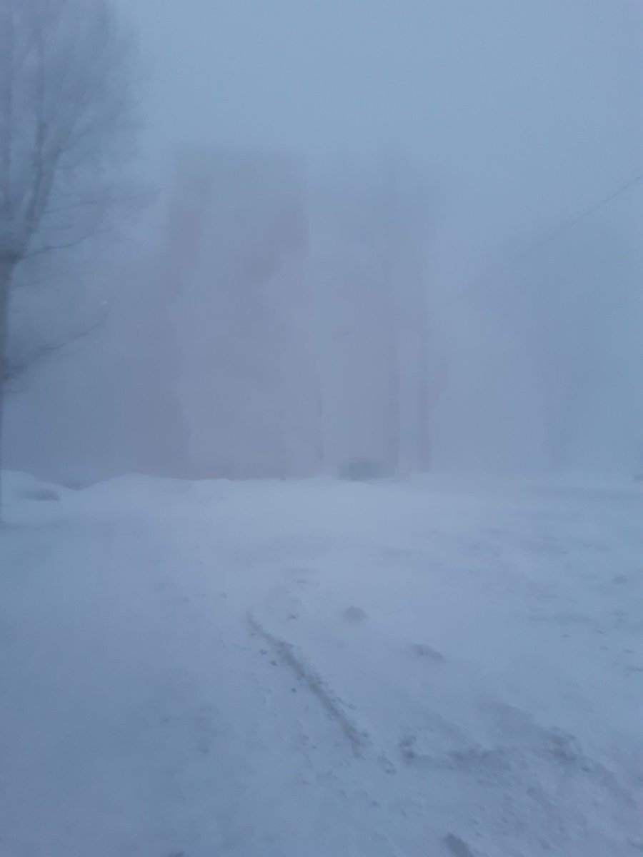 сибирь нет блять сайлент хилл