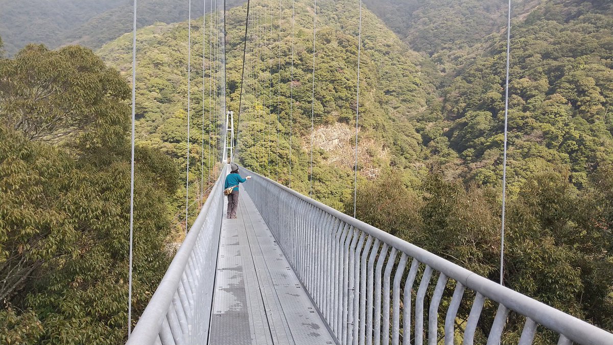 綾の照葉大吊橋 綾の照葉大吊橋