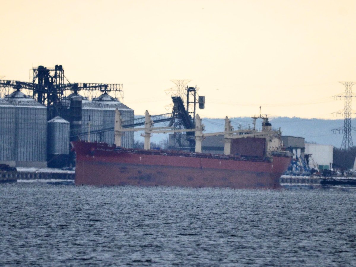 Sasajewun's tweet photo. Subtle inferior #mirage on 11:30 AM 27 Dec 2020 photo of MV Federal Bering in Hamilton Harbour. Along water's edge image is doubled: marks on ship's hull, snow on shore, doubled in reflections at waterline @HOPAports #HamInt https://t.co/nRglN3v02g