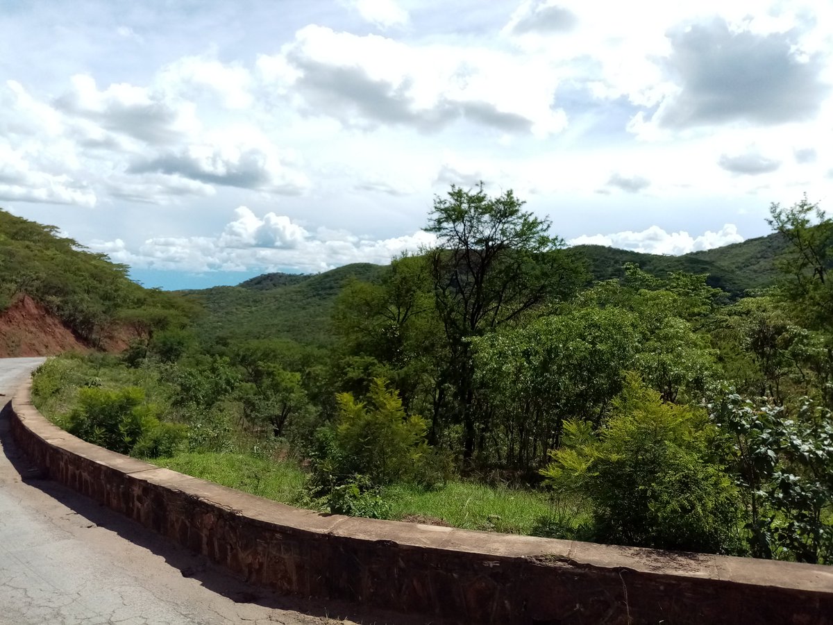 umzamocapital's tweet photo. Boterekwa pass Shurugwi, Zimbabwe

#VisitMidlands #Boterekwa #Shurugwi #Midlands #BoterekwaPass #VisitZimbabwe #TravelZimbabwe https://t.co/m1PHgDERKX