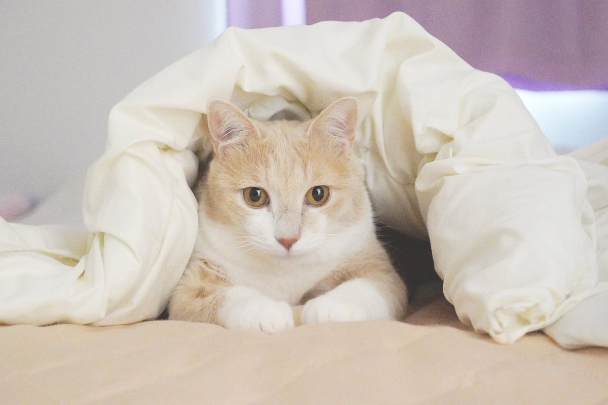 굴 파줬더니 쏙 들어갔다