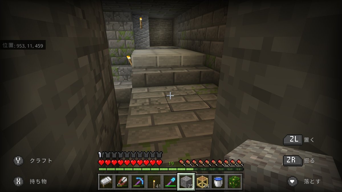 向日葵 お掃除中 ダイヤモンド探していたら 地下要塞 Minecraft マイクラ マインクラフト Nintendoswitch 向日葵 お掃除中 ダイヤモンド探していたら 地下要塞 Minecraft マイクラ マインクラフト Nintendoswitch