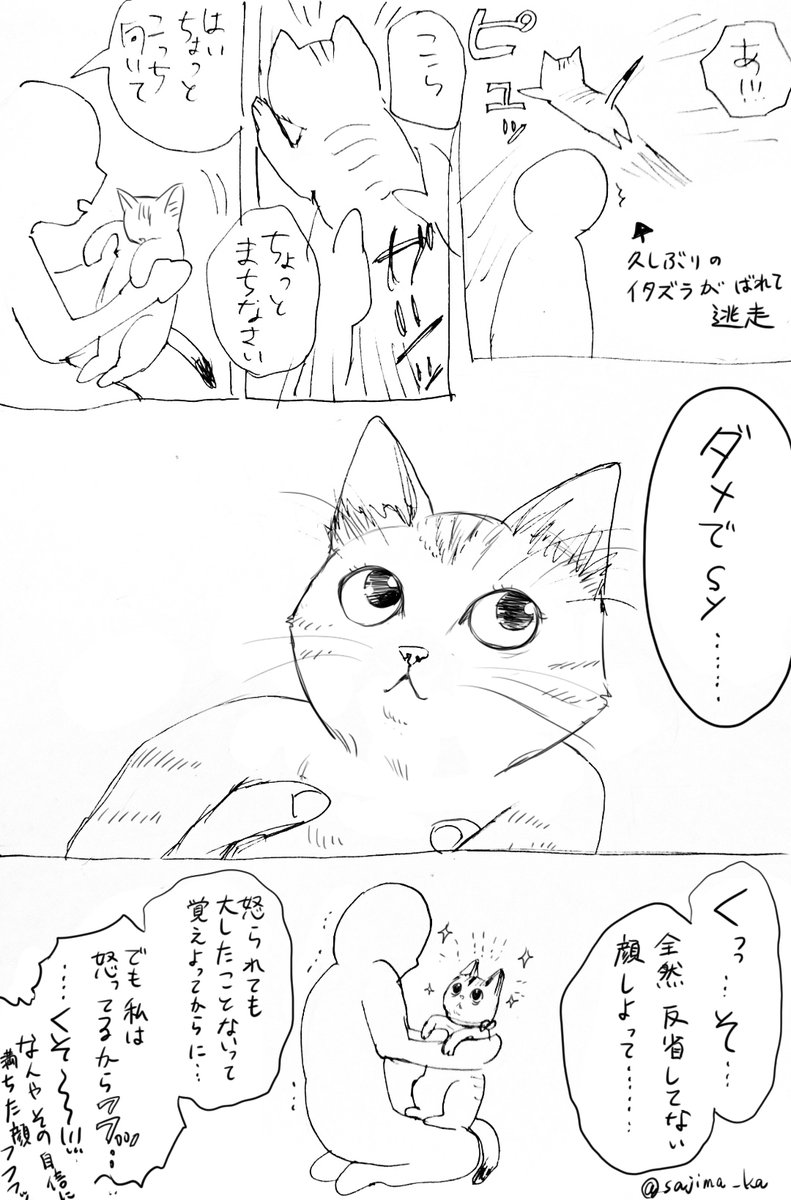 前回から三年半、信頼関係を築きすぎて怒っても「そんな怒ってもどうせ猫のこと愛してるんでしょ???」みたいな顔されるようになってしまって結局笑ってしまって怒れない。 https://t.co/QBXQOxcgQ9 