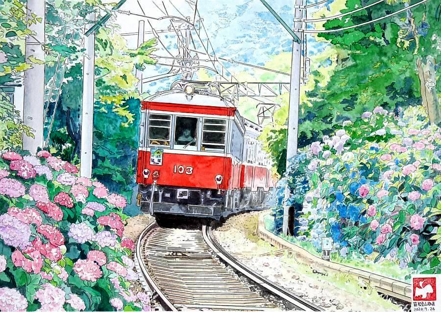 風景画　箱根登山鉄道　水彩画 紫陽花　　SHO 水彩画風] 箱根登山鉄道とあじさいの風景のイラスト素材