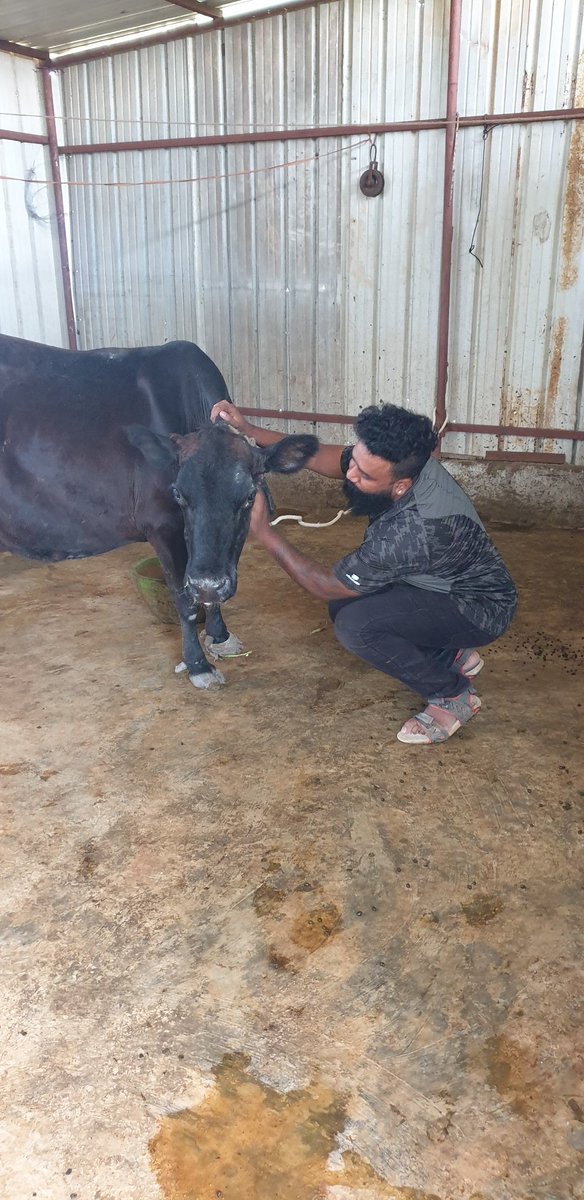Wesaveanimals2's tweet photo. https://t.co/K71Mj20tnN