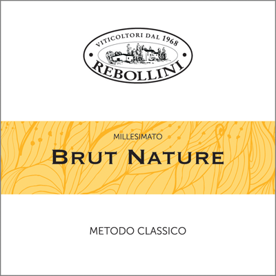 Degustazione di Oltrepò Pavese Metodo Classico Pinot Nero Brut Nature 2016 di Rebollini - Ha un’espressività diversa e di bel carattere, nonostante una piccola esitazione iniziale, e in bocca è dinamico e ben equilibrato #sparklemonth cucinaevini.it/oltrepo-pavese…