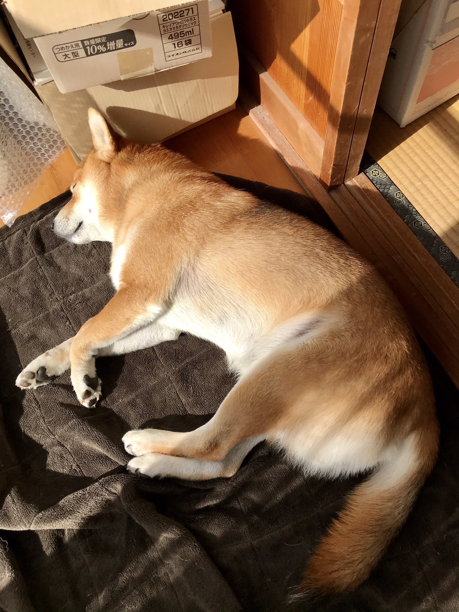 大分弁 Twitter Search Twitter