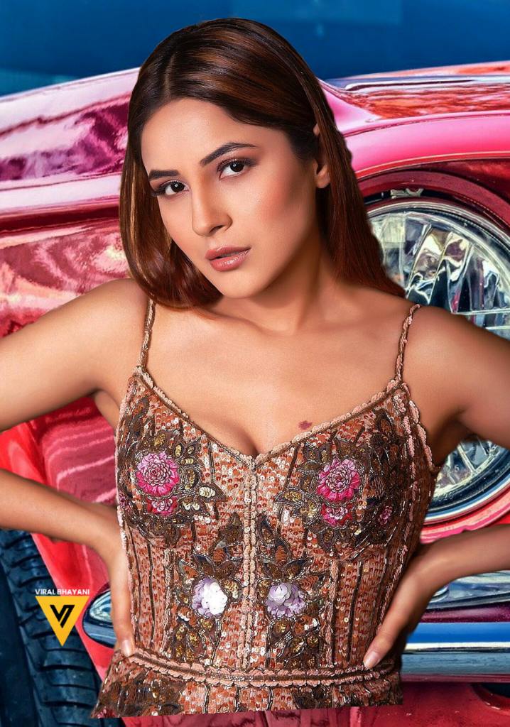 viralbhayani77's tweet photo. #ShehnaazGiII rocks in this @RockyStarWorld outfit 😍 https://t.co/42tLhgr3hW