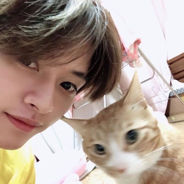 HELLO CAN YOU HEAR ME SCREAMING