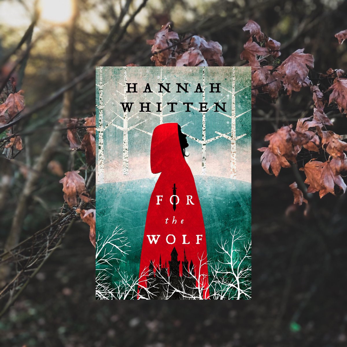 🍂✨we got 5k Goodreads adds, so I’m giving away a FOR THE WOLF paperback preorder✨🍂

🌿RT/F
🌿for an extra entry you can follow me on IG at @ hwhittenwrites