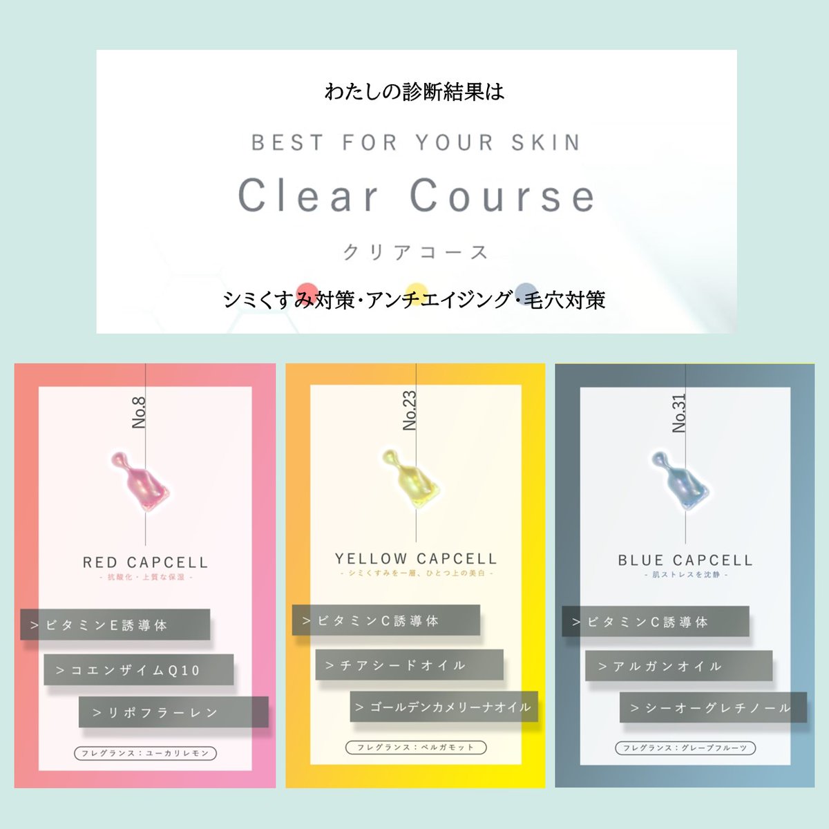 永遠の定番モデル my my