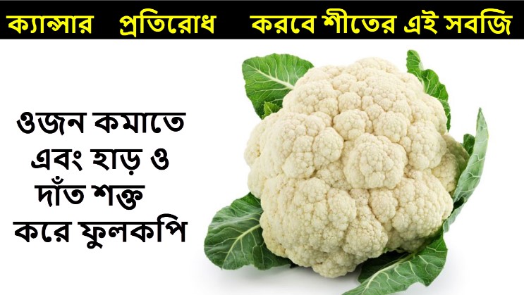 InNews2018's tweet photo. ক্যান্সার প্রতিরোধ করবে শীতের এই সবজি | ওজন কমাতে এবং হাড় ও দাঁত শক্ত কর... https://t.co/sKzvOWsxnD via @YouTube https://t.co/KEXsbuIaqp