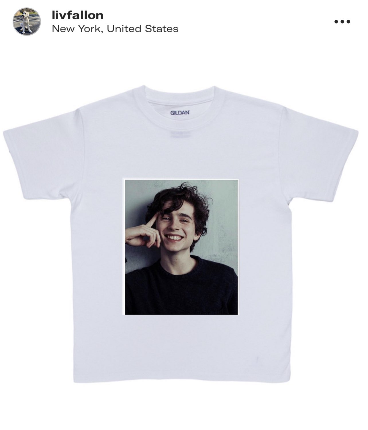 Happy bday timothée chalamet I just bought myself these tshirts to celebrate 