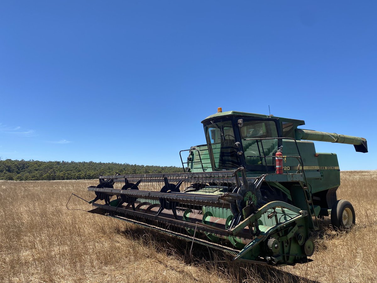 Jamie Nicolaou tweet media