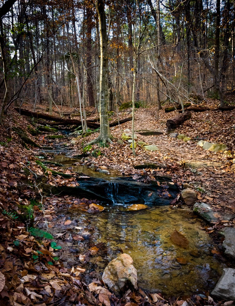 Peaceful scenes like this one yesterday in Umstead State Park are threatened by the 'leasing' of *OUR* publicly owned land for a new rock quarry on its borders. 
#shameonyouRDU #rduairport @flyrdu #umsteadstatepark #wunc #wakegov