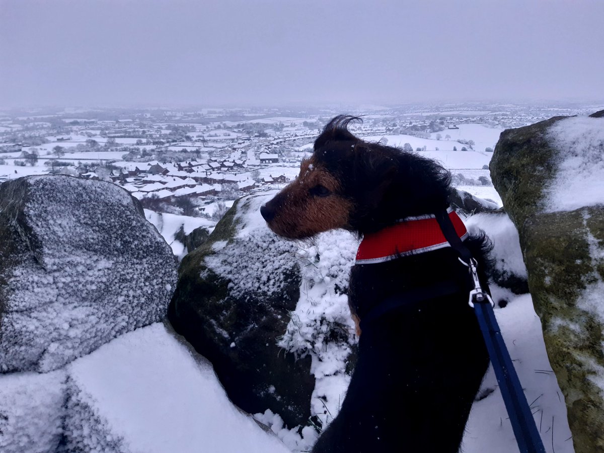 MeakinCraig's tweet image. Mow cop 
Staffordshire 
Gods country