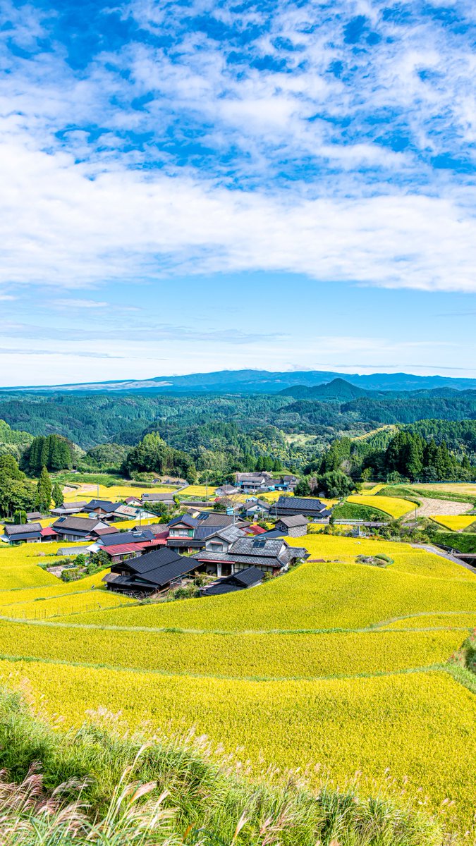 ふるさとくまもと ダンダンからの壁紙プレゼント 第3弾は 菅迫田 ダン 二次配布はご遠慮くださいダン 壁紙プレゼント 日本の棚田百選