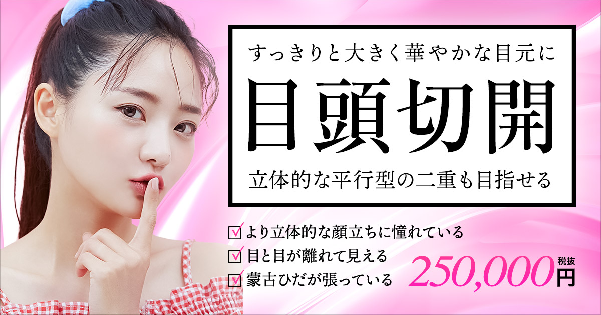 蒙古ひだ 蒙古ひだ