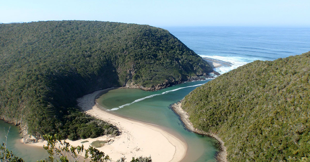 Plett Tourism tweet media