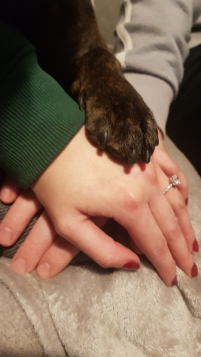 Misses_P's tweet photo. @thekooksmusic my bf of 13years finally proposed on Christmas day. Who knew all it took was a global pandemic 😂 In the past he would say the only way were getting married is if the kooks play at the wedding! What ya reckon fancy it? Pay you in pizza and staffy cuddles ❤ https://t.co/mSBj63XZlU