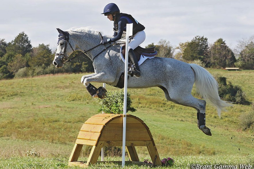 PaddockBlade's tweet photo. Like this is you know about cross country 🤩
📸@oliviahayes37
#Paddockblade #eventing #horsesofinstagram #crosscountry #showjumping #virginia #horseshow #horse #mare #greymare https://t.co/OIc8602Ns7