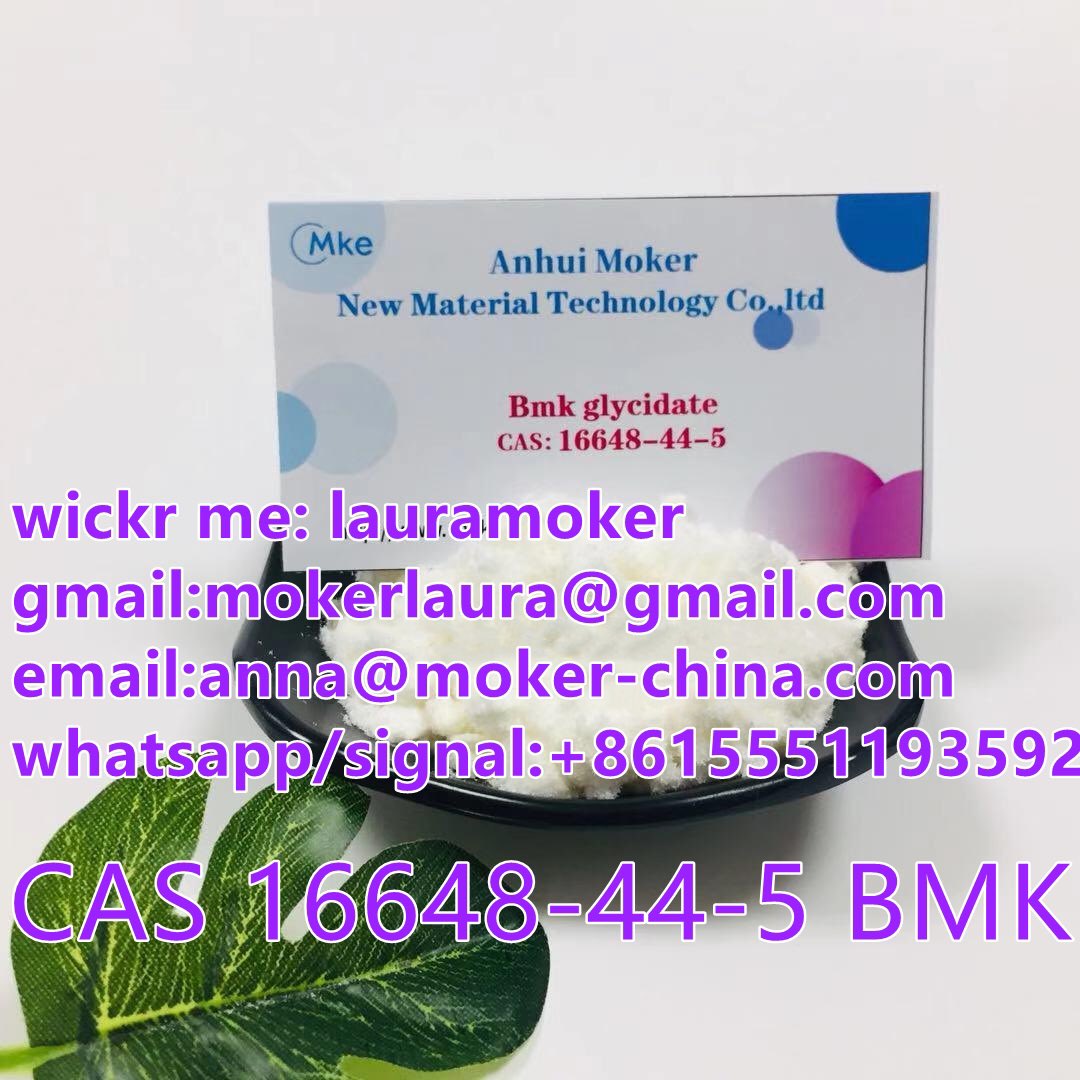 Moker anna tweet media