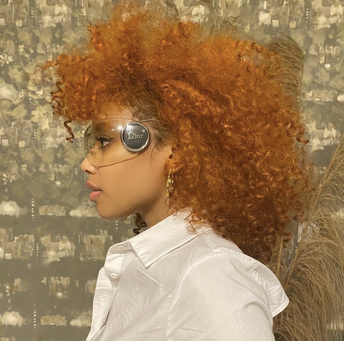 Yanni Nuuk tweet media