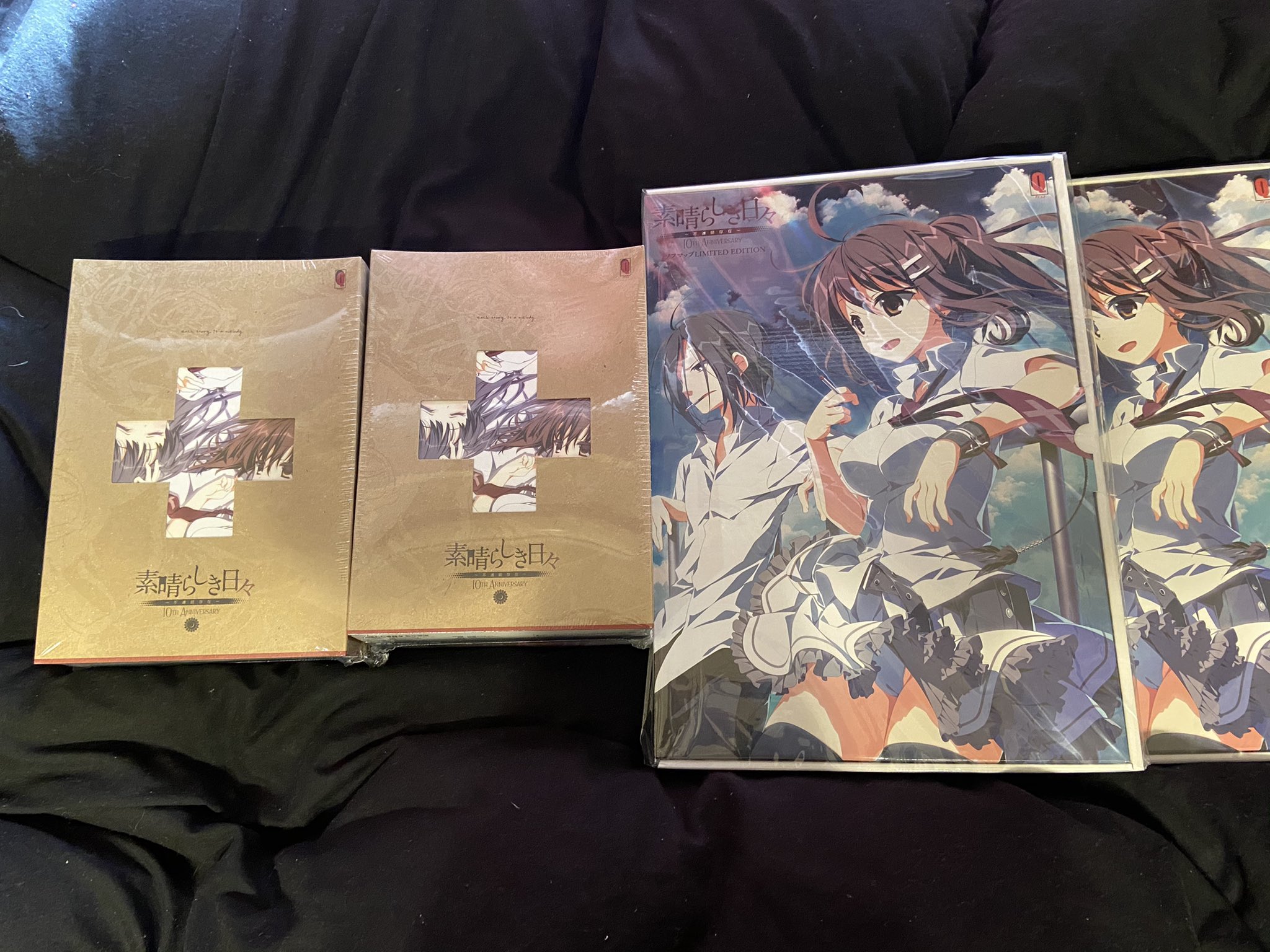 素晴らしき日々～不連続存在～10th Anniversary特別仕様版 新品