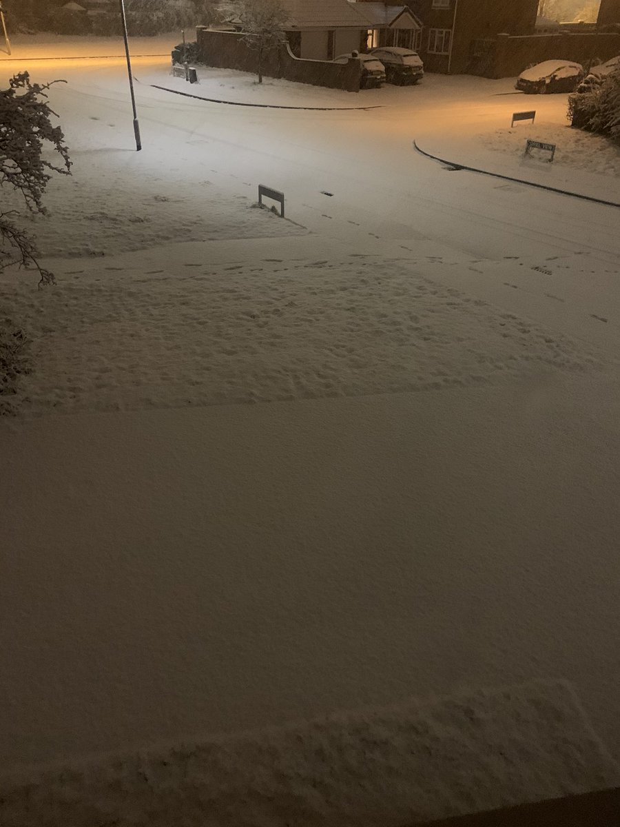 ian_forrest's tweet image. What did I just wake up to?