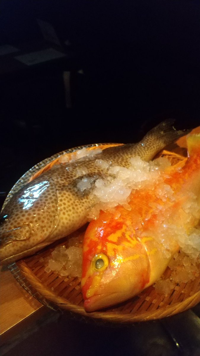 赤坂日本酒 海舟 Kaisyuakasaka Twitter