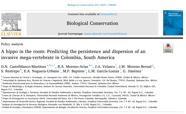 Our publication in  @ELSenviron, about invasive hippo persistence and dispersal in the Magdalena River basin on  #Colombia, has just come out. The following thread summarizes our results. @postre_de_natas  @juvelas  @Rafael_MorenoA  @jwmorenob  @donsabas  https://www.sciencedirect.com/science/article/pii/S0006320720309812?dgcid=author