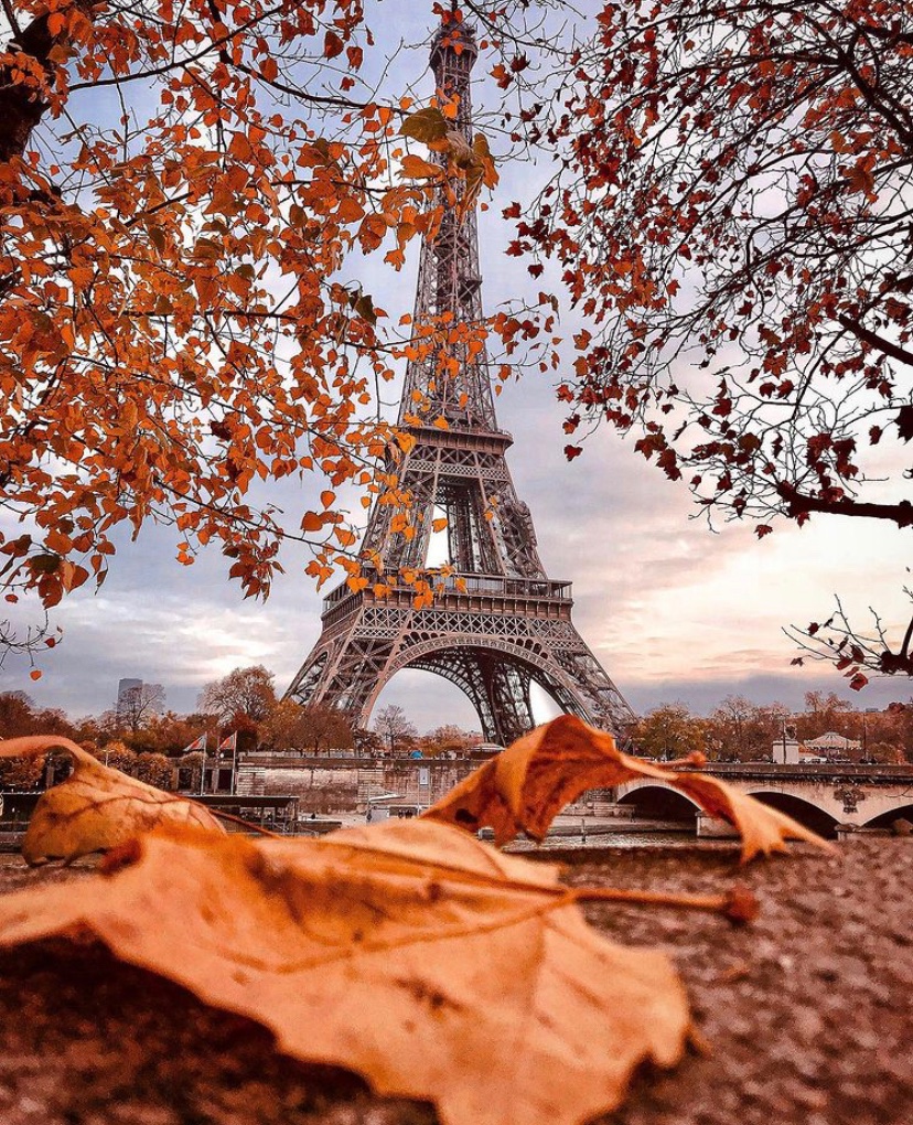 JayGMoss2's tweet photo. #Paris #vivalafrance https://t.co/cgPn1g782o