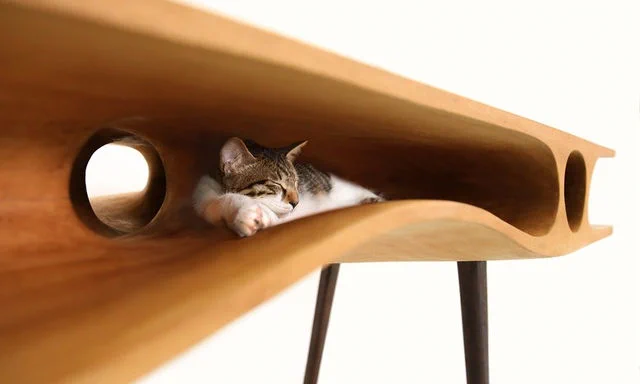 どこまでも猫目線のデスクが登場！人と猫が共存出来るデスクの正体とは！！