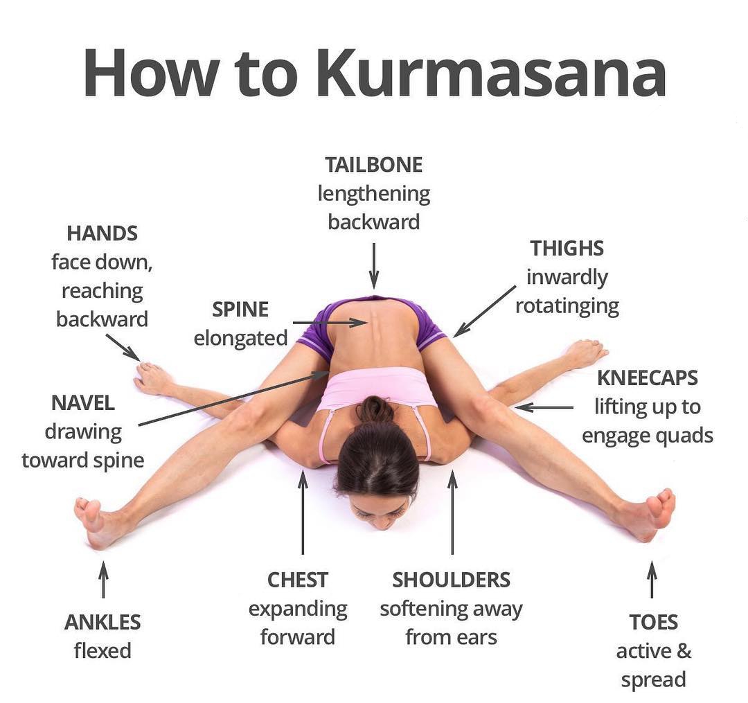 eGlobalNatural's tweet image. Kurmasana the most difficult asana.  buff.ly/2G2uOgG 
#diabetes #healthtips #health #nutrition
