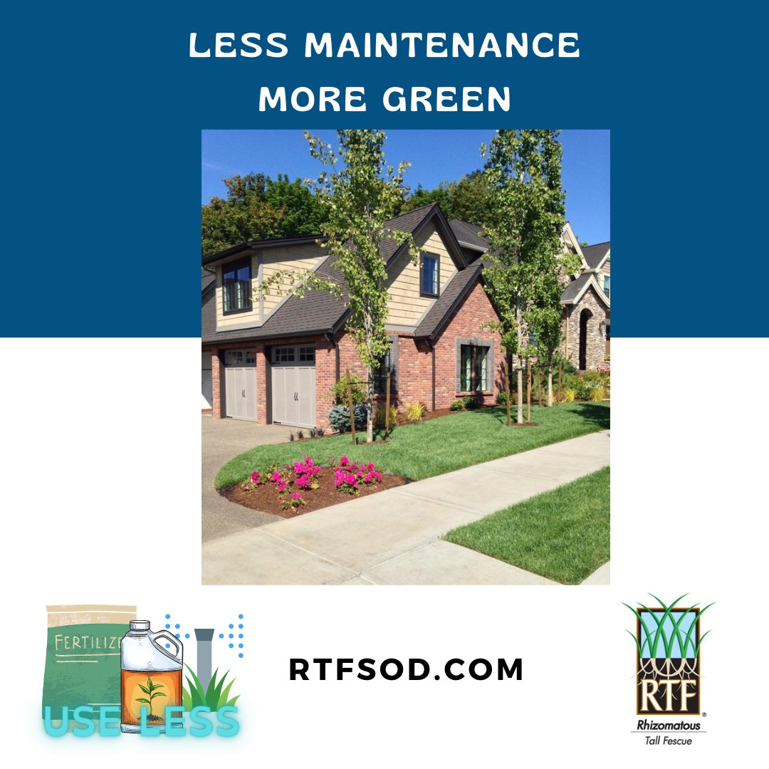 RTF_Sod's tweet photo. #ProvenPerformance #LessMaintenance #MoreGreen https://t.co/al0szQZEoZ