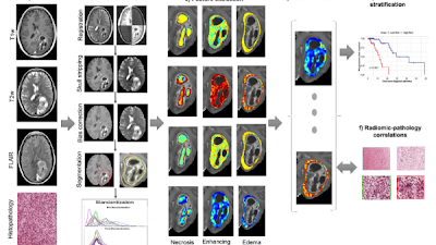 Radiology: Artificial Intelligence tweet media