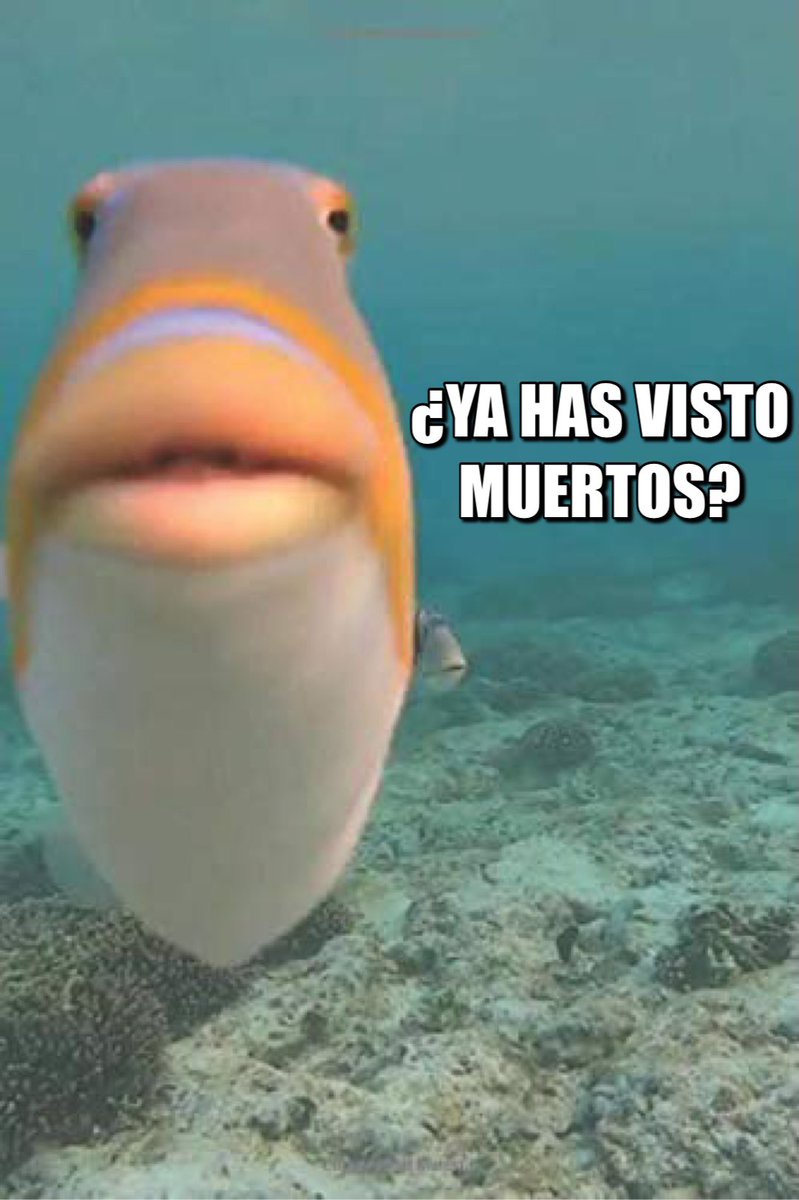 CUANDO LE DICES A ALGUIEN QUE ESTUDIAS MEDICINA