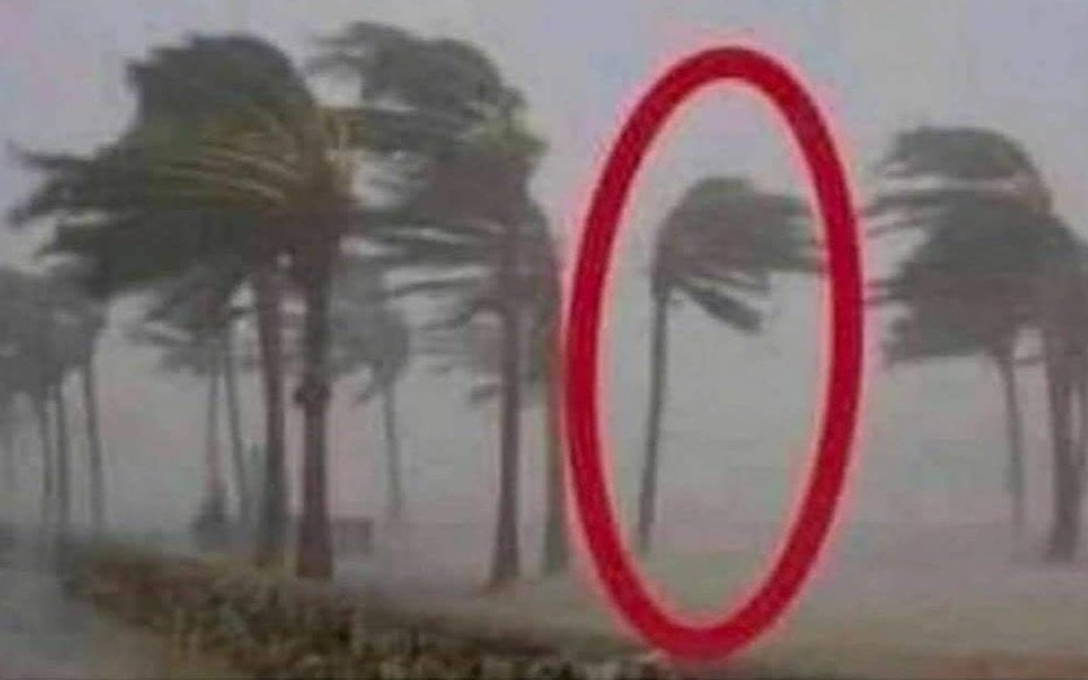 You are not the boss of me