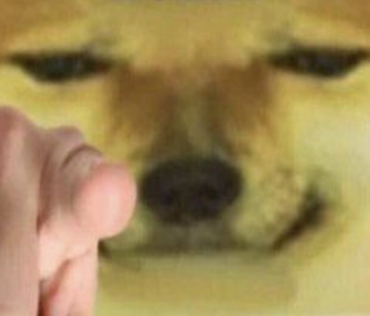 .ᐟ (@nuefolder) on Twitter photo 