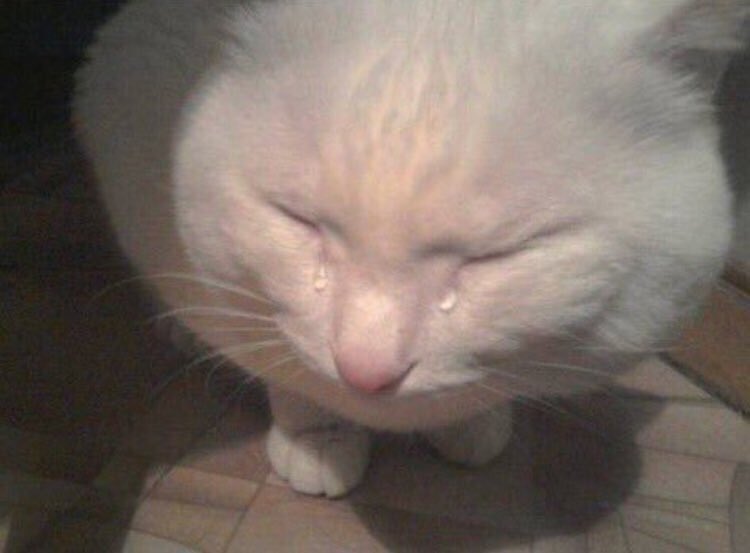 Me: [ Decides to rest my finger on my baby’s palm ] 

My baby: [ gently holds my finger with their little hand ] 

Me: