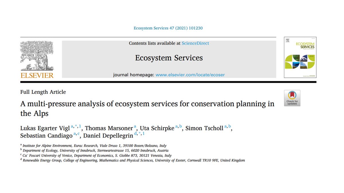 Daniel Depellegrin tweet media