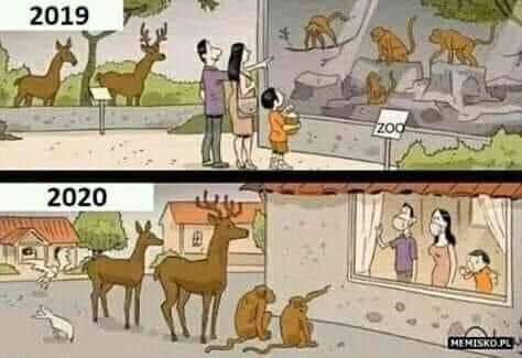 В предновогодние дни участились нарушения противоэпидемических мер, - Степанов призвал усилить контроль за соблюдением карантина - Цензор.НЕТ 7275