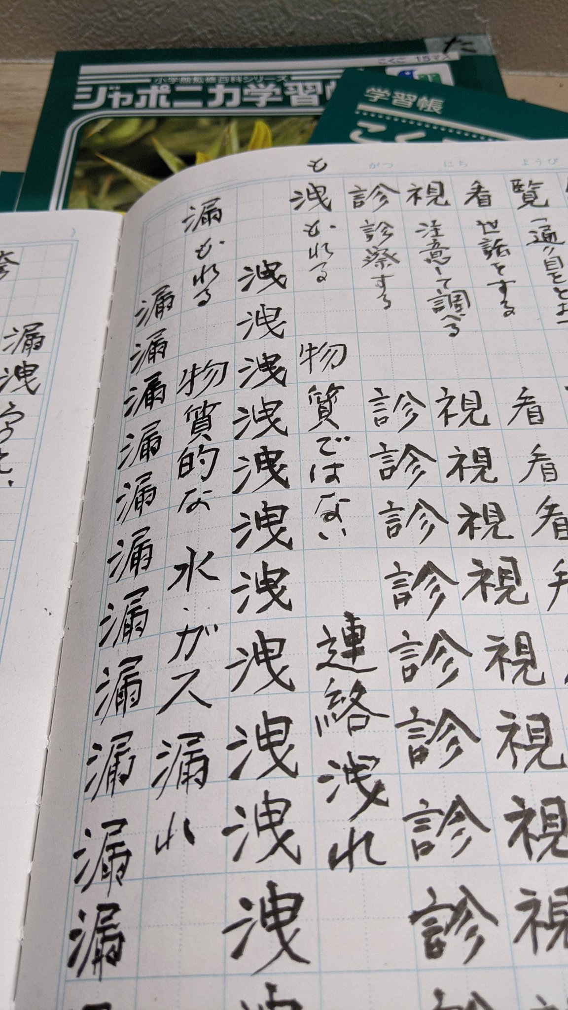 なおち Etsuko310 同じですね の手習い始めたばかりです 集中して書くとなかなか時間がかかりますね ジャポニカの文字が大きめですね 子供の書き方の基礎だからかな 何故 他の県に無いのか不思議ですね Twitter