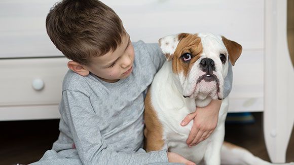 Many of you may have experienced the common findings that agencies are providing staff who have never, or not often, worked together.

Our specialist teams move around the country together as a unit.

That's pretty special, right?

buff.ly/3kiAQtQ