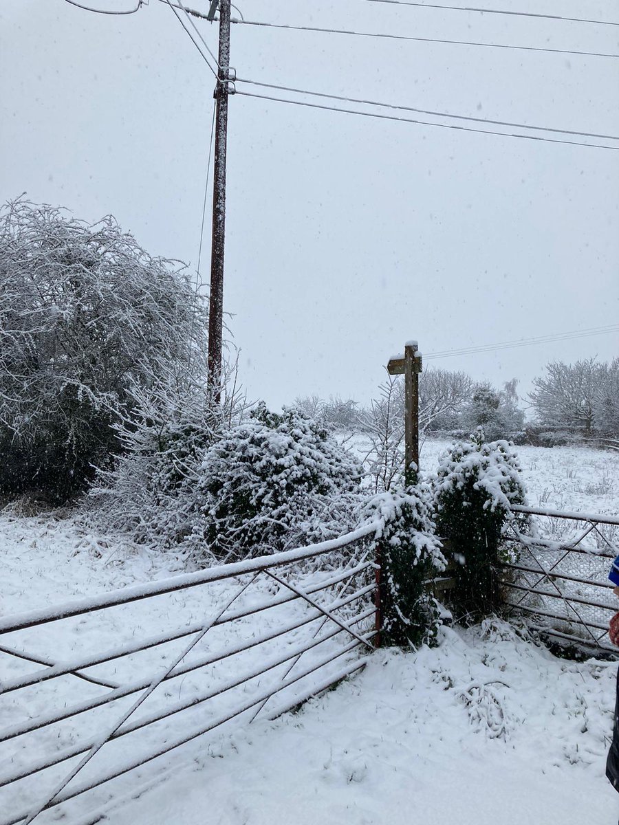 dakeyboy's tweet photo. Living in the countryside has its perks #snowday #snowfall https://t.co/XasF8VAN0p