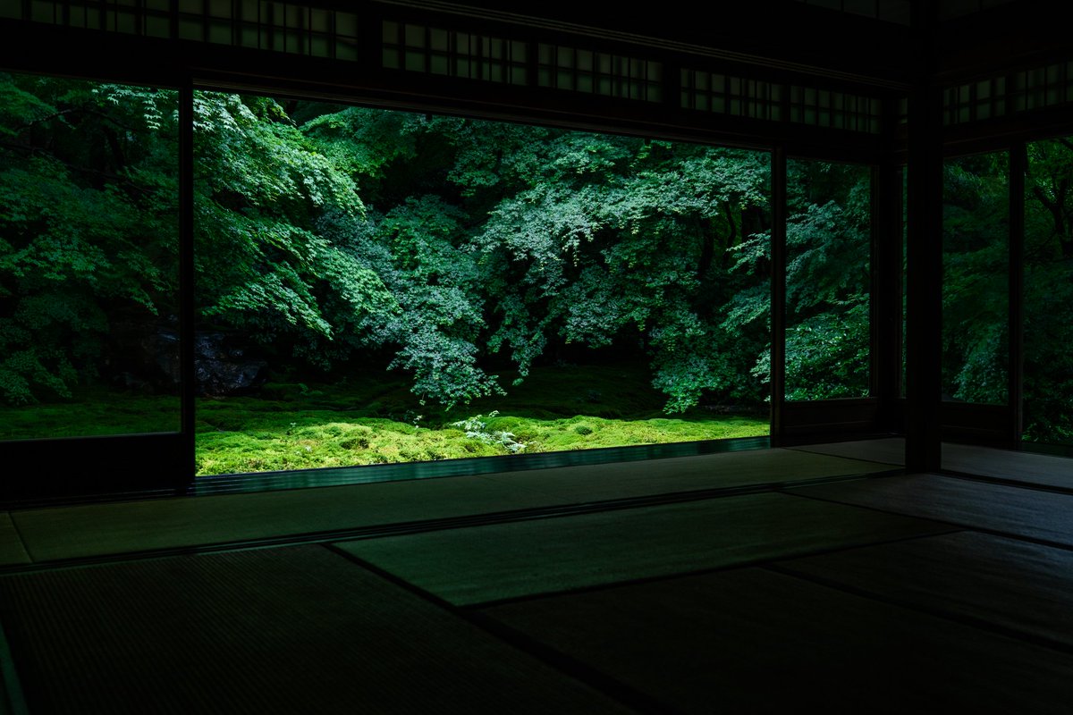 xxakaxxv's tweet image. 白い雪を見る機会が増えて、そろそろ緑が恋しくなってきたと思うので絶品の緑をどうぞ