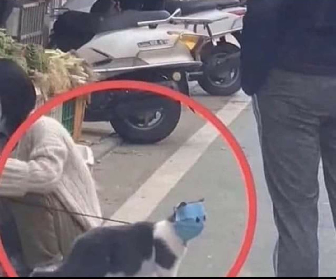 لما تكون مخلص ٦ أرواح وضايلك روح وحدة