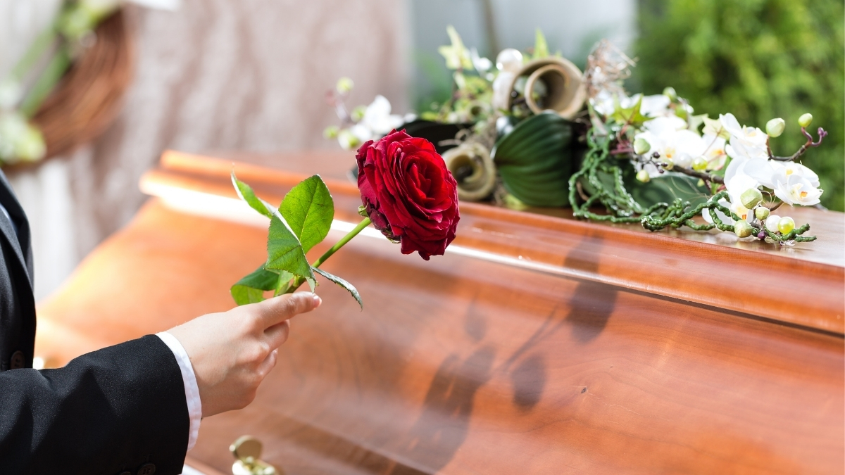 Funerals_Budget's tweet image. There are quite a few myths surrounding funerals. We've investigated some common funeral myths that need debunking. Find out more in our blog post - fal.cn/3csdp

#funeralsomabudget #funeralservice #funeral #funeralmyths #myths