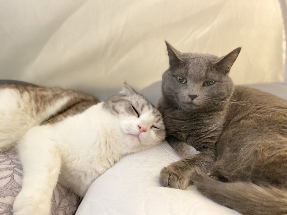 feelcom's tweet image. 😌💕