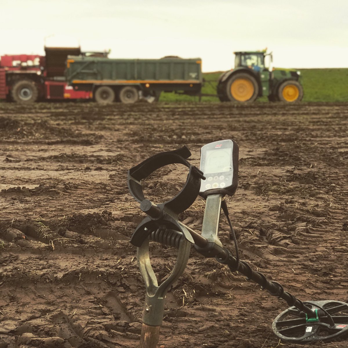 Harvest time at last #Minelab #Equinox800 #Harvest #metaldetecting #history #scotland #tractor #carrots